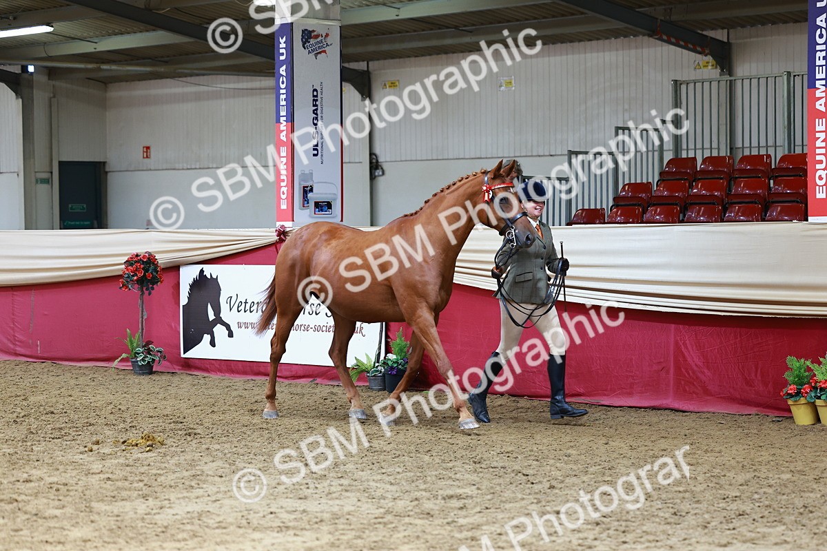 SBM_23163 - Class 903 - Supreme Final - IH Pre Vet