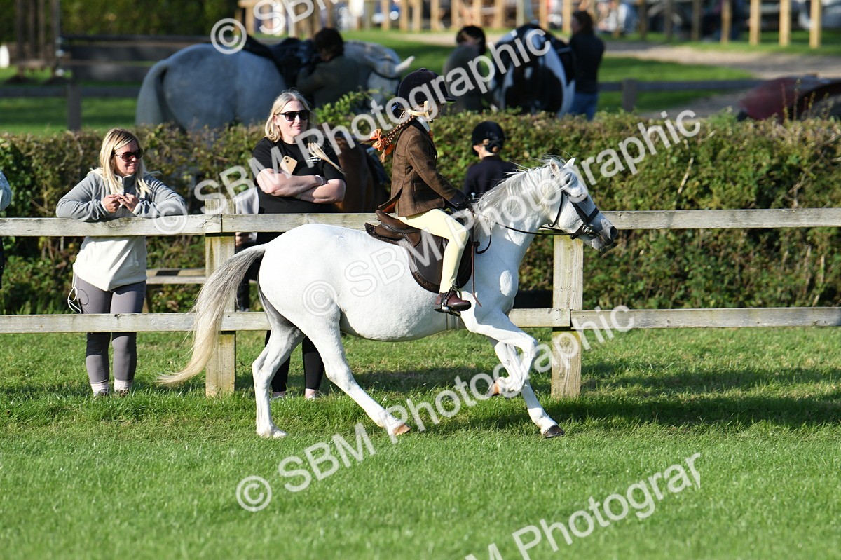 SBM_54051 - S23 - 1st Ridden Mountain & Moorland Pony