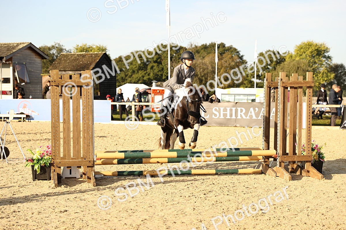 SBM_59451 - J11 - Junior Pony 50cm Championship