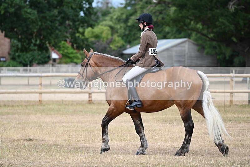 WJ6_7359 - Class 9 Tack and Turnout