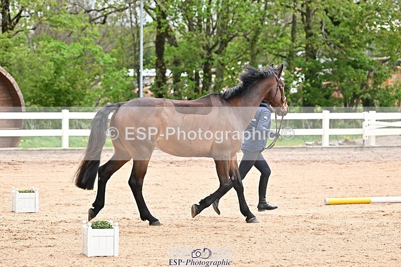 250423-120612-00190 - 12 to 1pm