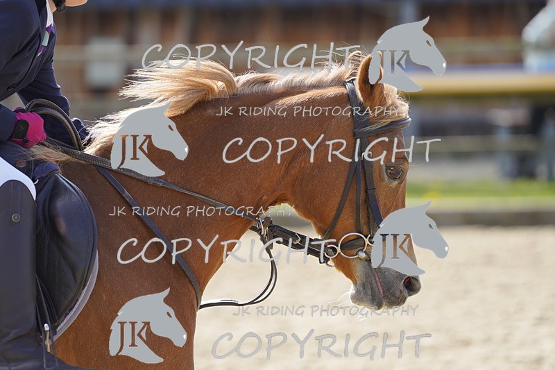 _DSC6958 - Class 2