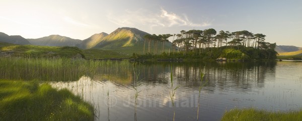 Panoramic Of Derryclare Lake, Connemara. - Landscape Gallery