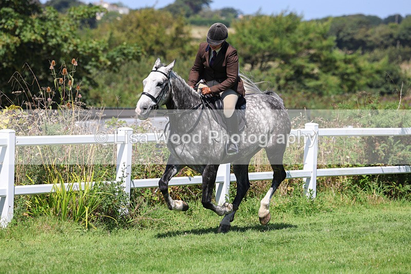 3E7A8992 - Class 6: Open Working Horse