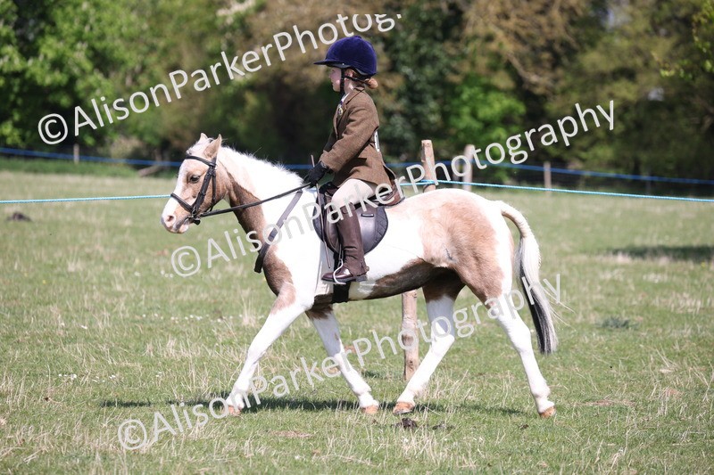 20250427-3196 - Class 33 - Best Pony 14.2hh and Under