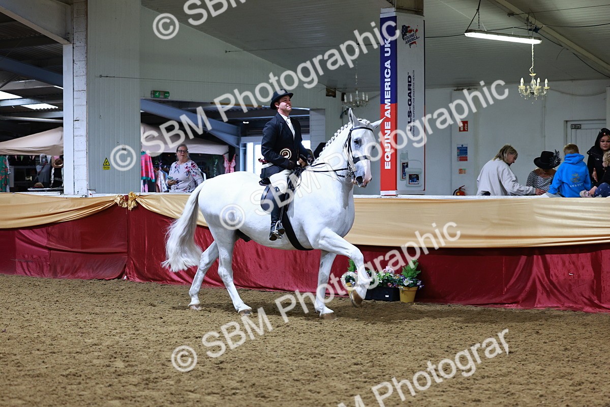 SBM_23611 - class 906 - Supreme Final - Ridden Pre Vet