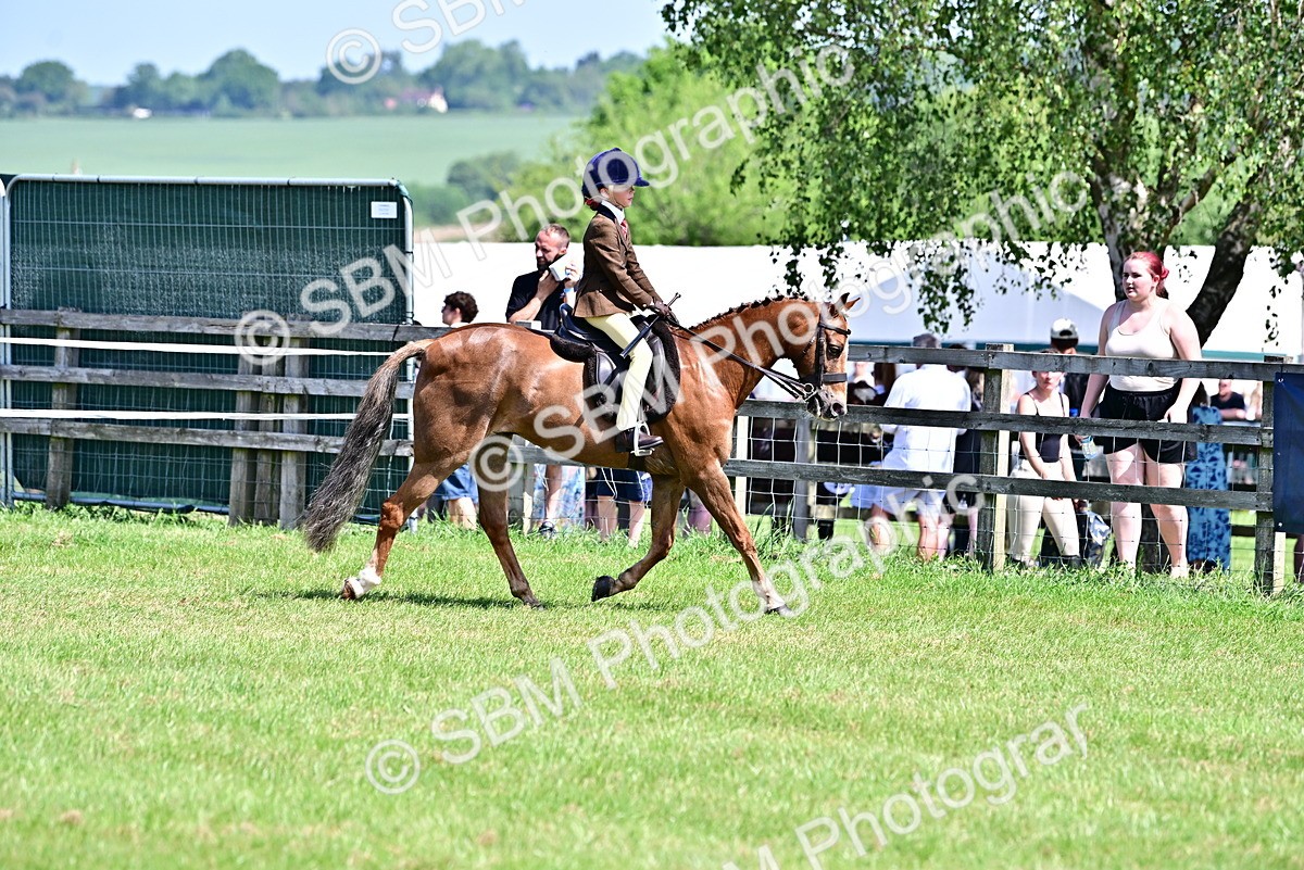 SBM_13869 - Class 95-97 - BSPS LHS Performance Ponies