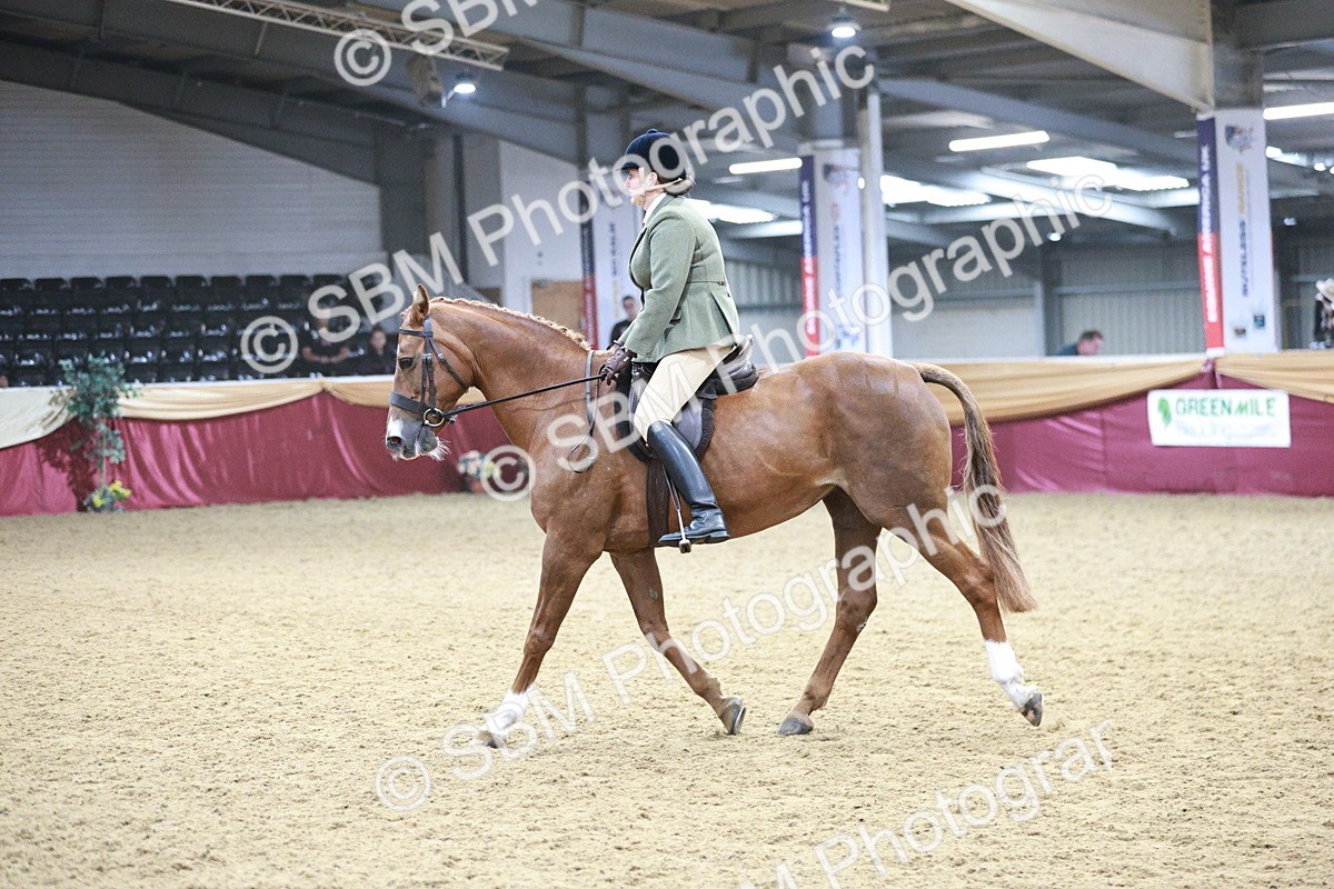 SBM_03398 - Class 6A Area Ridden Pre-Vet
