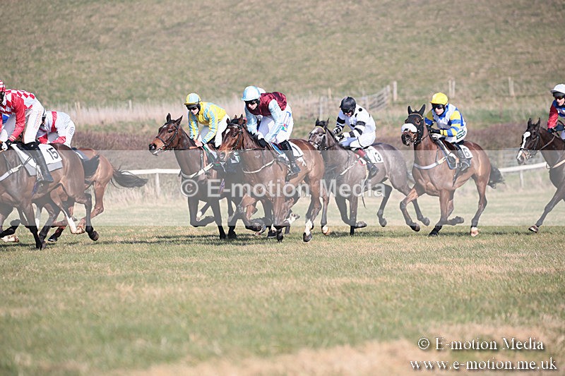 PtP 230219 229 - Vine & Craven Point-To-Point - Barbury 23/02/19