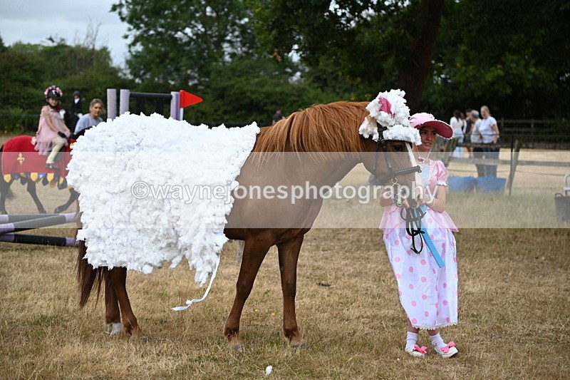 WJ6_8765 - Class 11 Fancy Dress
