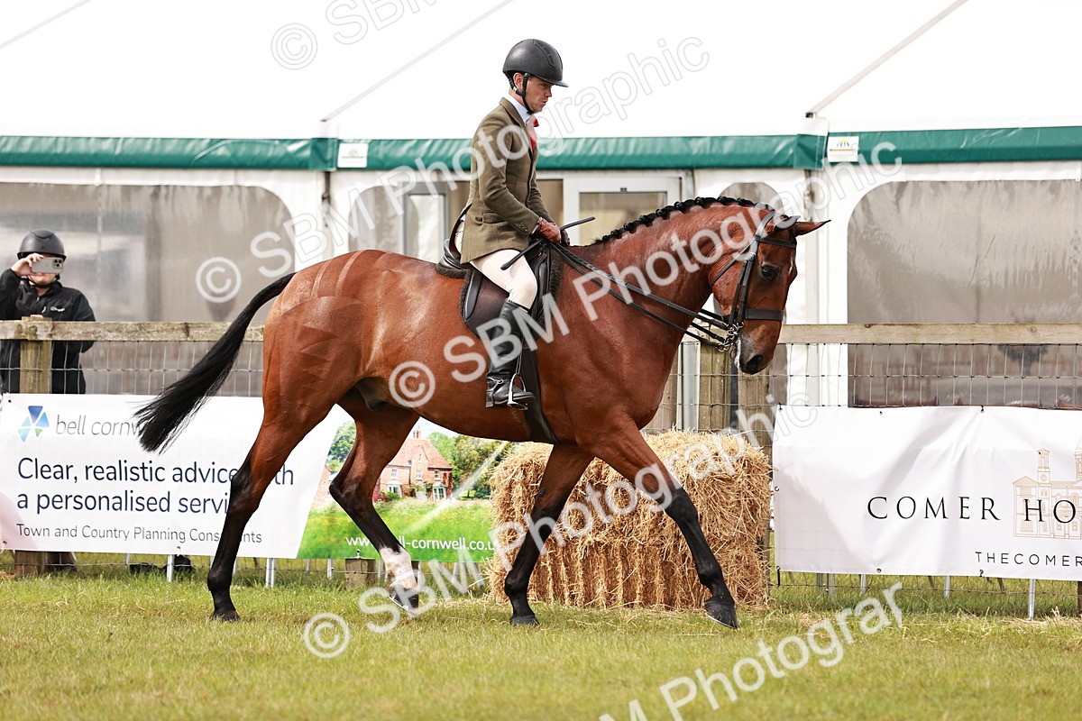 SBM_11528 - Class 81-84 - RIHS Ridden hunters Inc Ladies Hunter