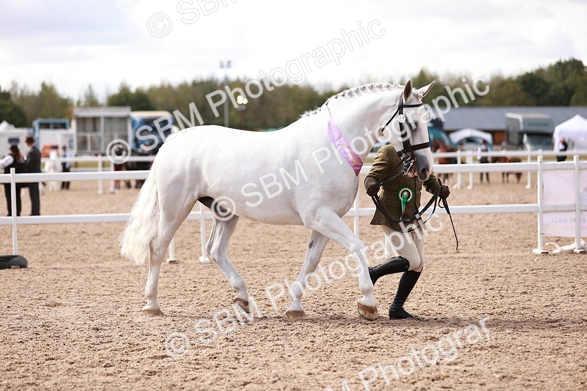 SBM_13382 - class 406 - IH Hunter