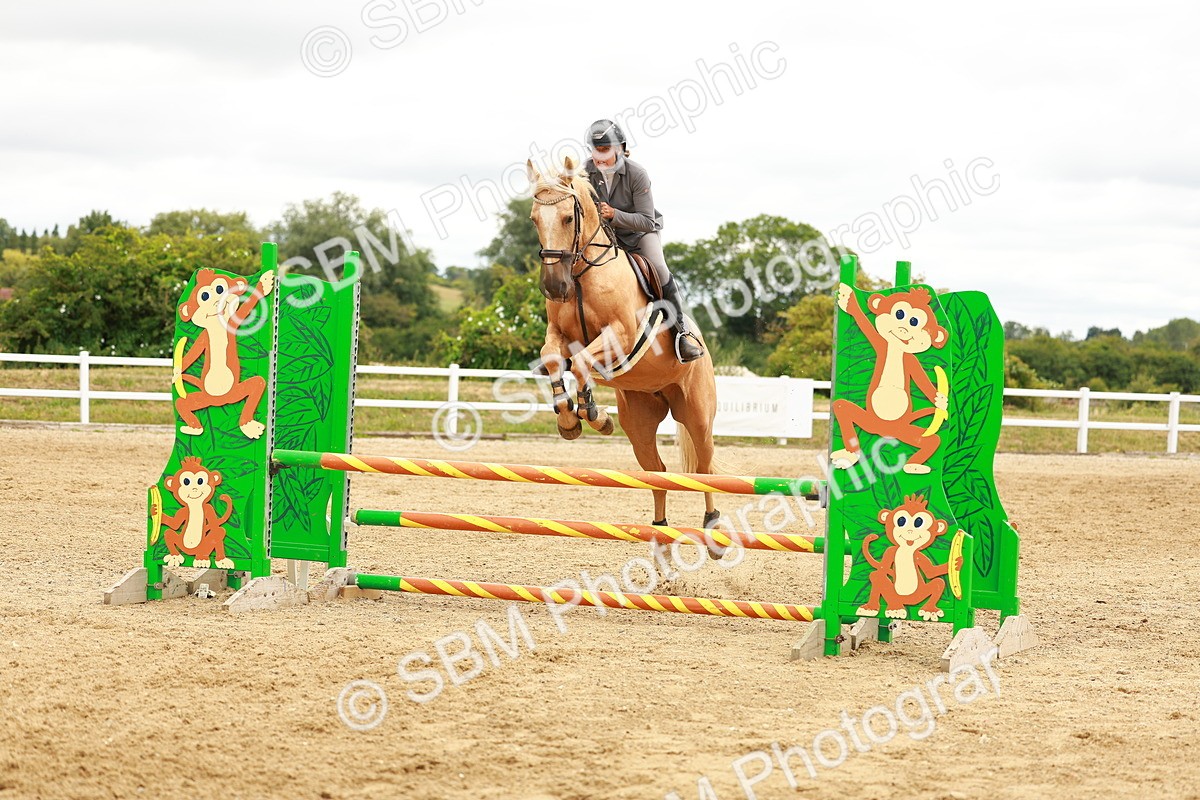 SBM_001958 - Class 9 - Senior British Novice - 90cm