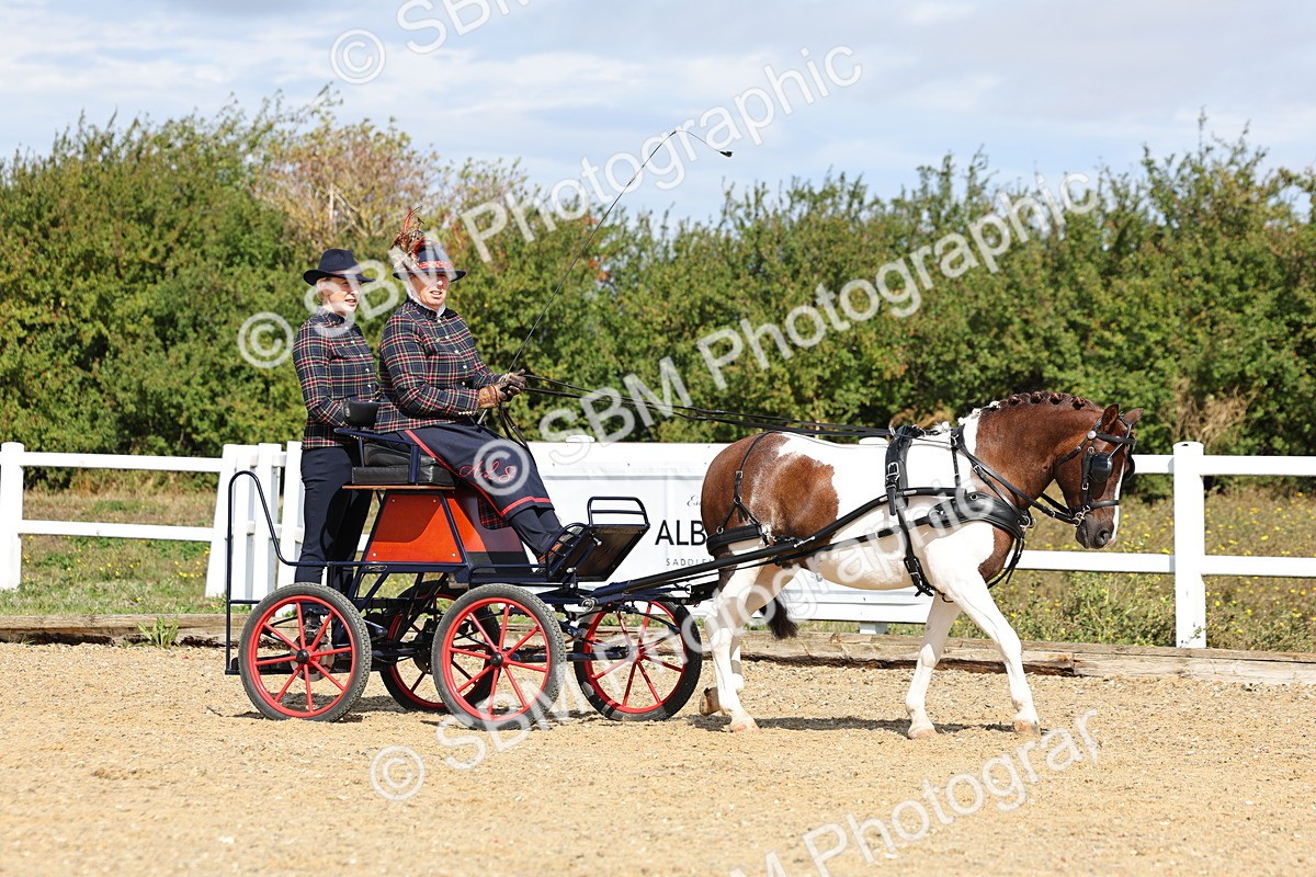 SBM_000859 - Class 8 - Novice Horse or Pony to any vehicle