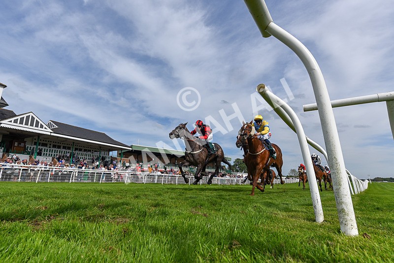 130524-Race 6-Stellarmasterpiece-5454 - Race 6