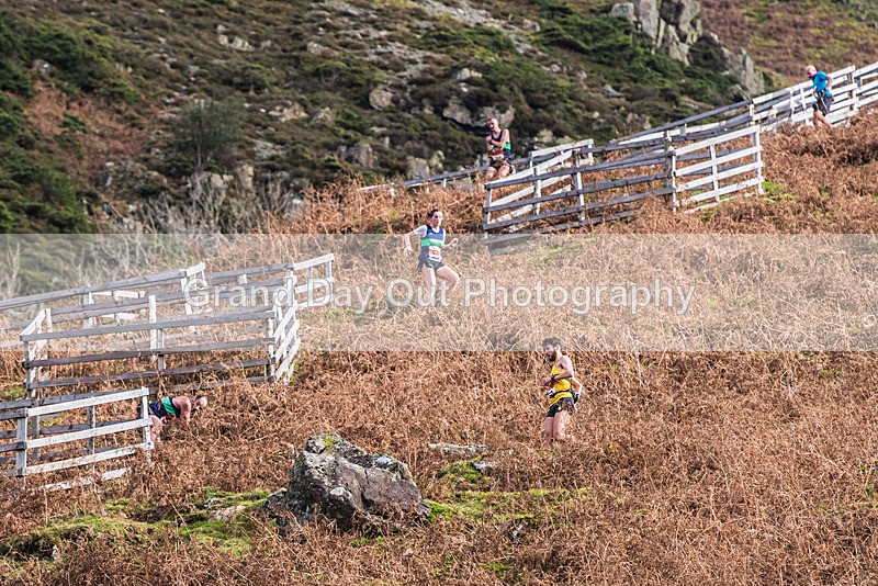 Stybarrow Dodd-808 - Kong Running Stybarrow Dodd Fell Race Saturday 4th November 2023