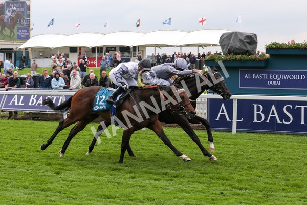 160524-Race 6-Andesite-1974 - Race 6 4.45pm Frank Whittle Partnership ebfstallions.com Novice Stakes