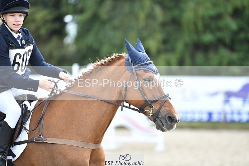 230827-134525-26072 - SJ 13.30 to End