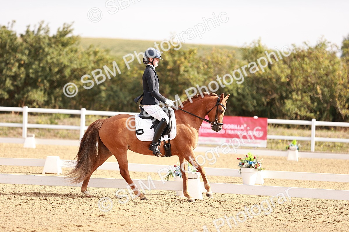 SBM_016909 - Class 10 - Medium 6