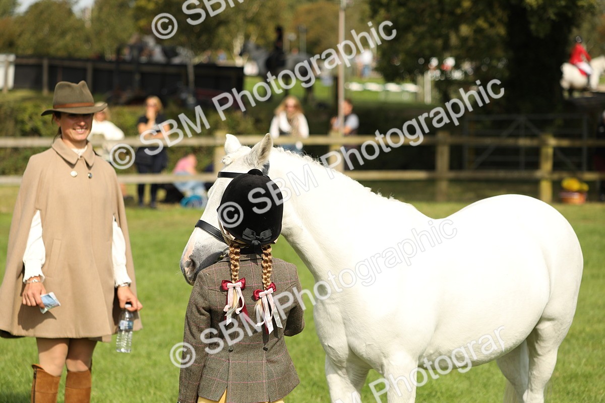 SBM_68656 - S40 - Junior Handler 9-12 Years