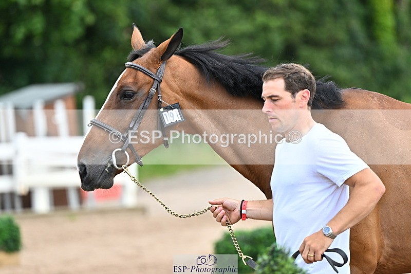 240718A-105308-01618 - Trot Up 1pm to 2pm