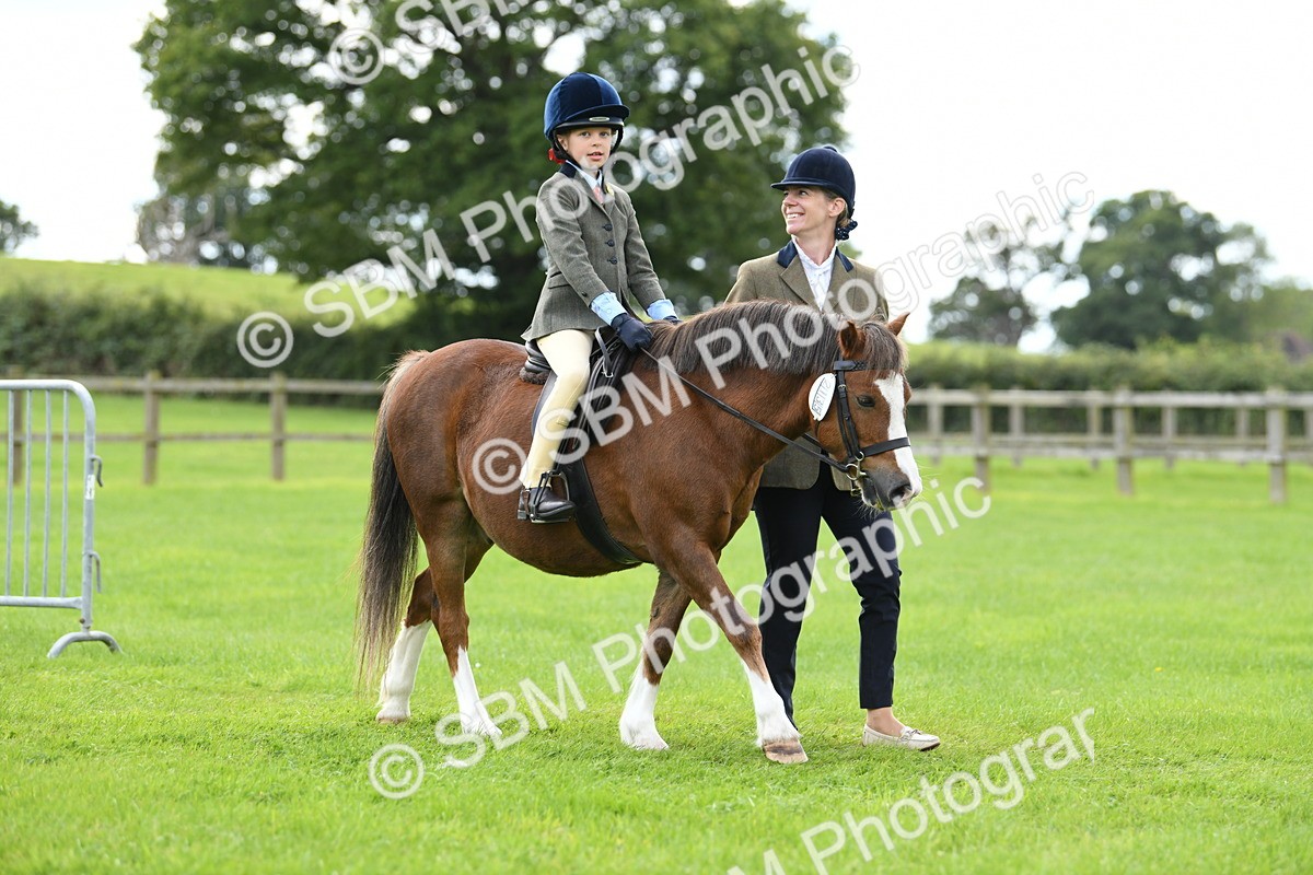 SBM_42416 - S20 - Lead Rein Mountain & Moorland Pony
