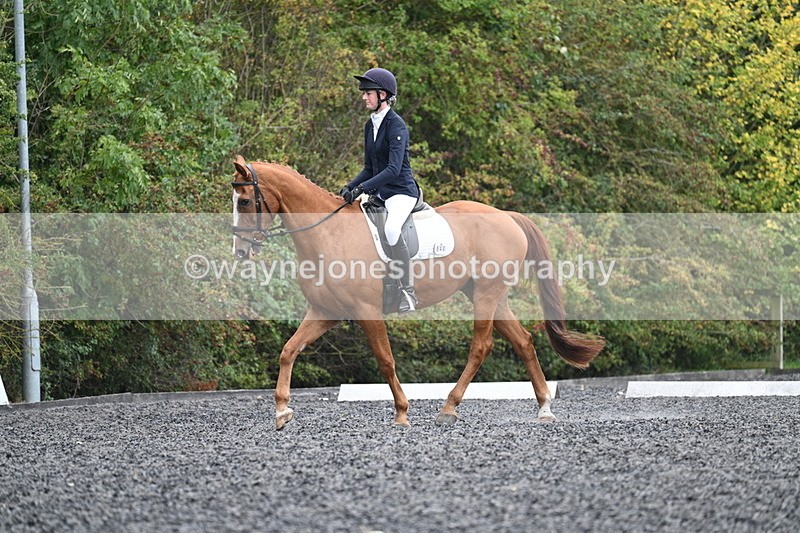 WJ7_6637 - Time 14:49 to 15:14