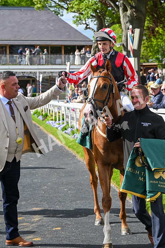 150526-Race 6-Fortification-8533 - Race 6 4.40pm Irish Thoroughbred Marketing Handicap