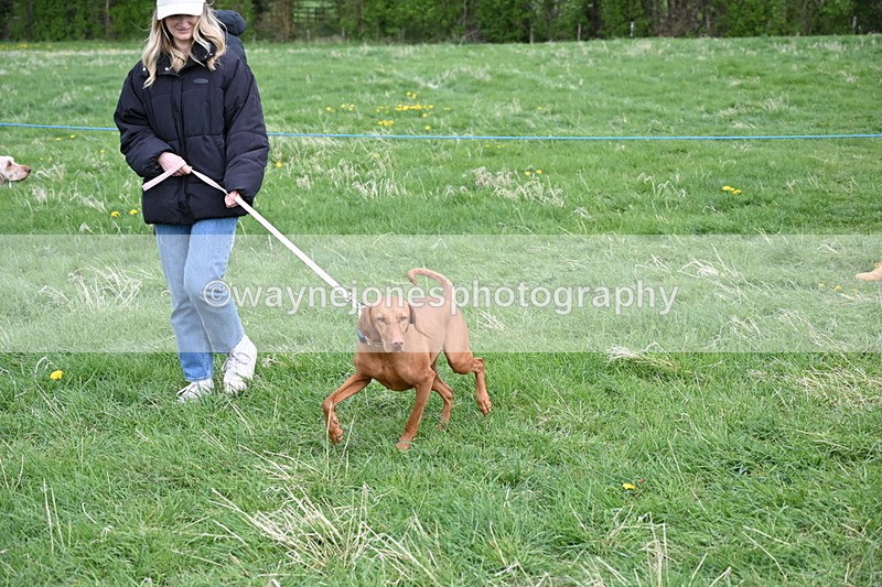 WJ6_8131 - Class 2 Best Pedigree