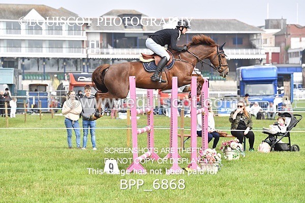 BPP_6868 - CLASS 3 RHS Fox Champ Qual (1.20m)