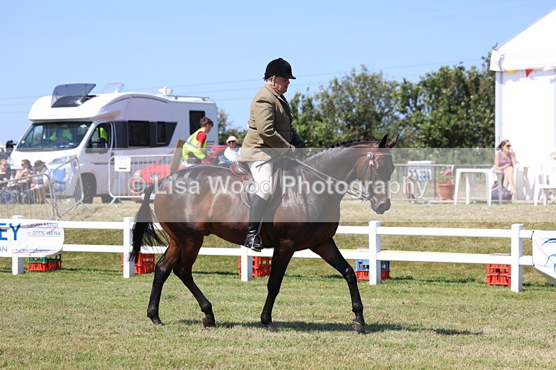 3E7A7691 - Class 7: Open Riding Horse
