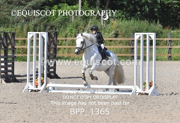 BPP_1365 - DERBY CLASS 2 - 30CM