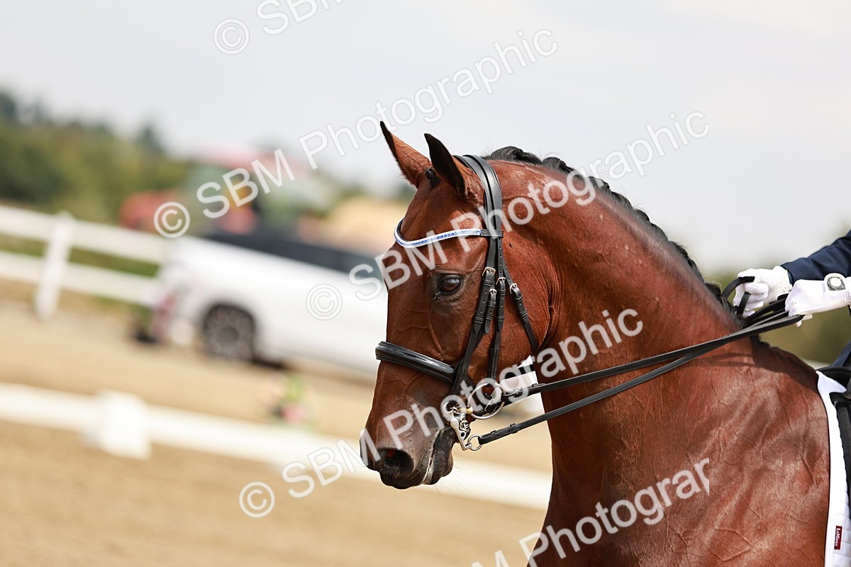 SBM_003546 - Class 7 - Advanced Medium 6 Gold - 13.16-14.36