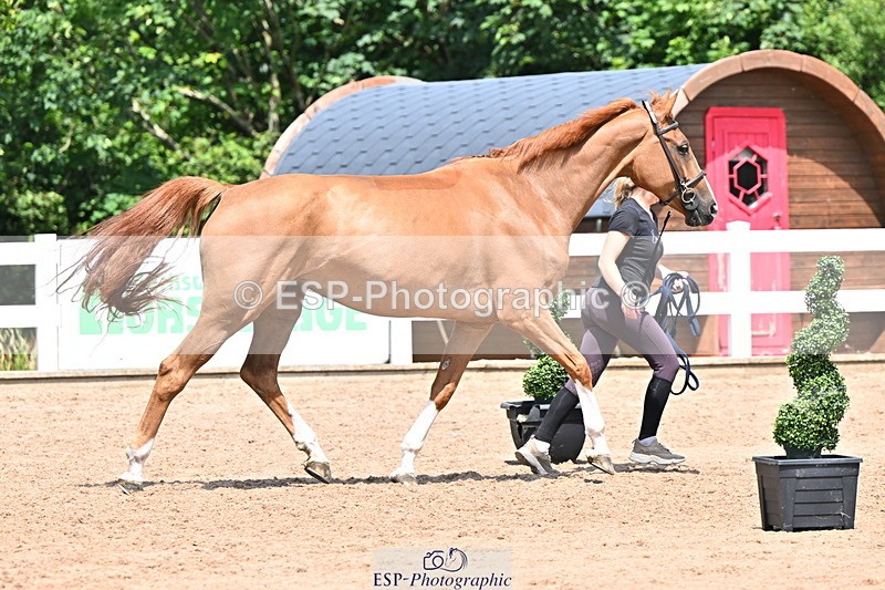 240718A-105318-01824 - Trot Up 1pm to 2pm