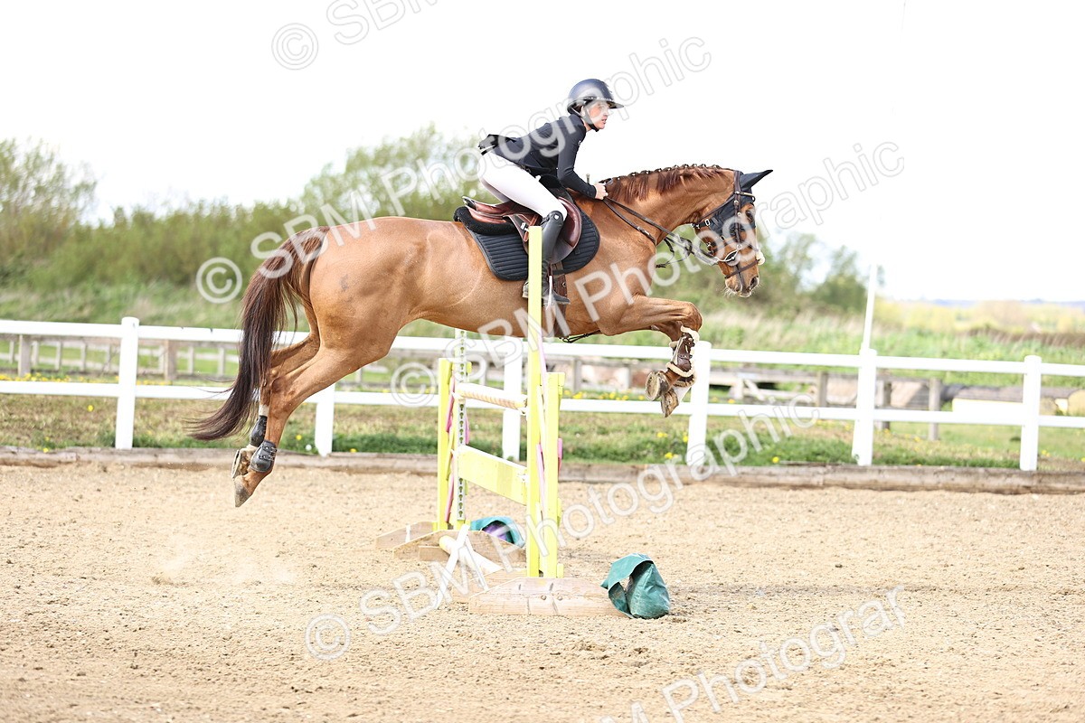 SBM_004298 - Class 17 - Senior Newcomers - 1.10m