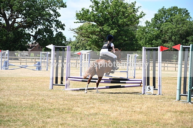 WJ6_5740 - Class 13 Novice 60cm