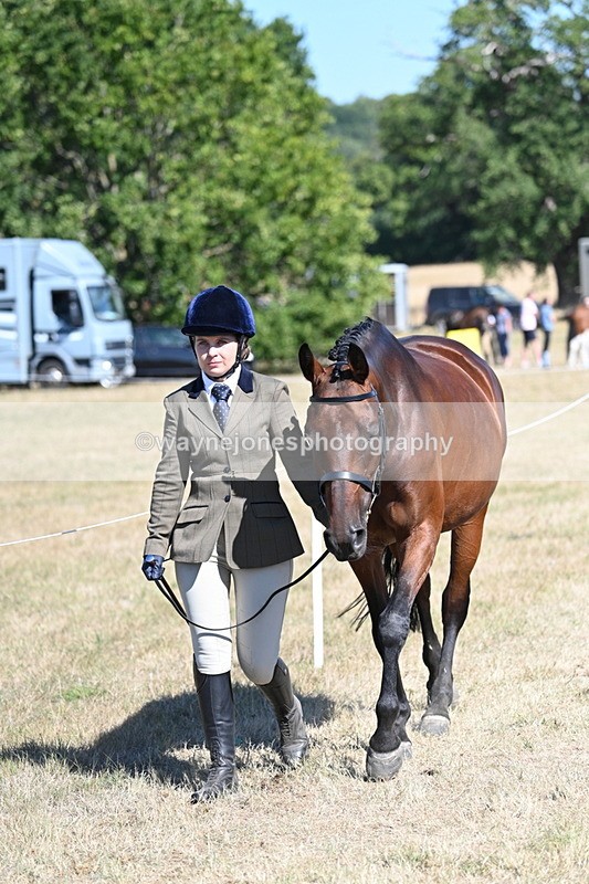 WJ7_1813 - Class 43 Best Six Legs (In hand)