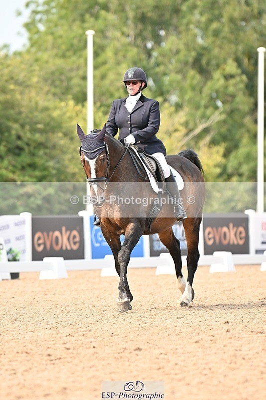 250816-151227-05785 - 130-Donna.BoydVagebond.vd.Withoeve.Z