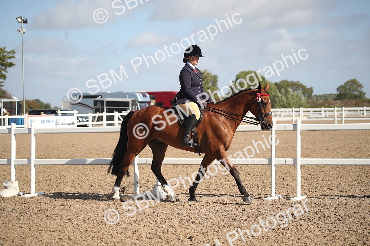 SBM_22762 - Class 602 - 2026 Area - Ridden Veteran
