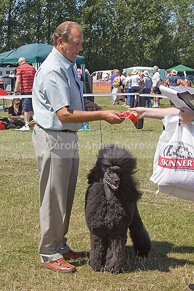  - Spirit of the Dog Funday July 2010