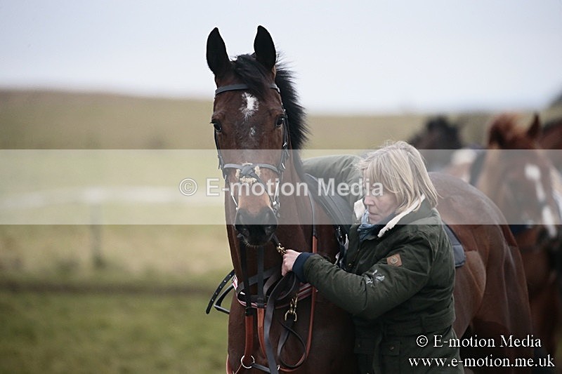 PtP 180218 307 - Combined Services Point-to-Point Larkhill 18/02/18
