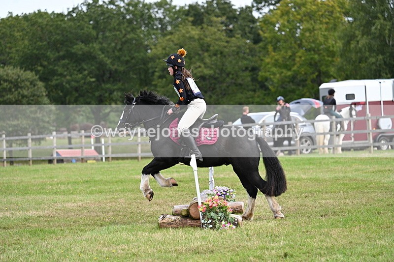 WJ7_8029 - 40cm Time 10:49 to 11:18