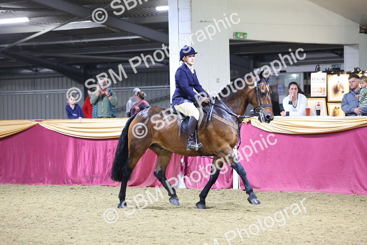 0B8A4681 - Class R Working Veteran Champ