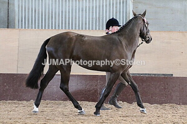 SIAL9604 - Indoor Classes