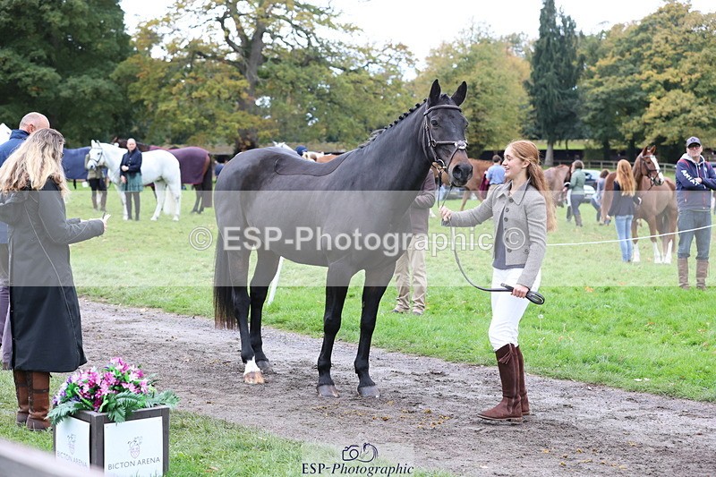 251026A-113044-25486 - F-469-Gabriella.Lucas