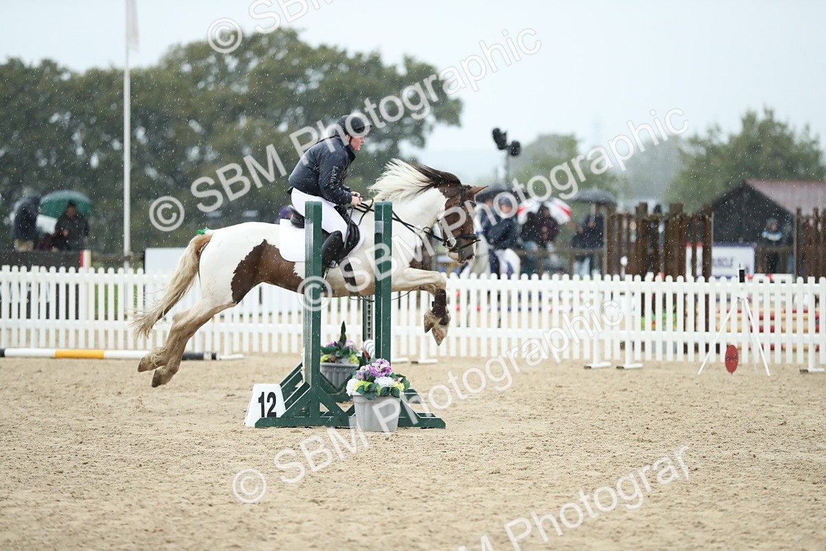 SBM_37127 - J20 - Junior Horse 50cm Championship