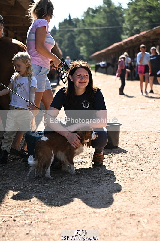 240729B-092646-01795 - Monday Stable Shots