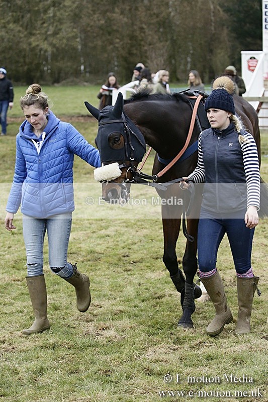 PtP 110318 190 - Hampshire Hunt Point-to-Point Hackwood Park 11/03/18