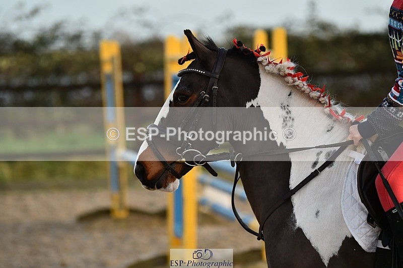 231210-151424-00943 - Cls 6 80cm