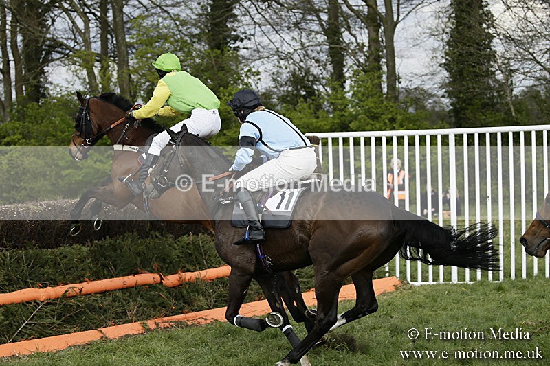 PtP 170417 338 - Old Berks Point-to-Point Lockinge 17/04/17
